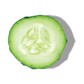 CUCUMBER EXTRACT CUCUMBER EXTRACT