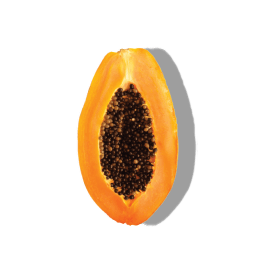 PAPAYA EXTRACT PAPAYA EXTRACT