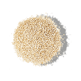 HYDROLYSED QUINOA